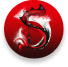 Stormy Dragons Logo